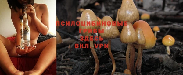 дмт Михайловск