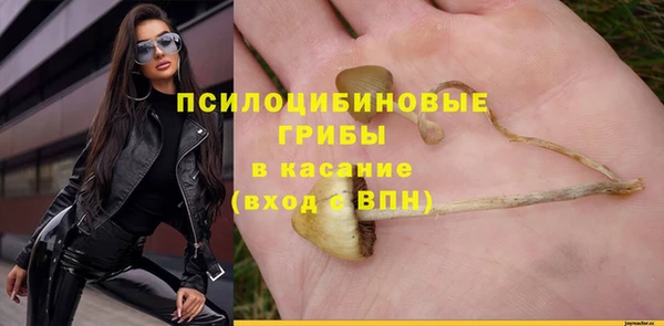 a pvp Михайлов
