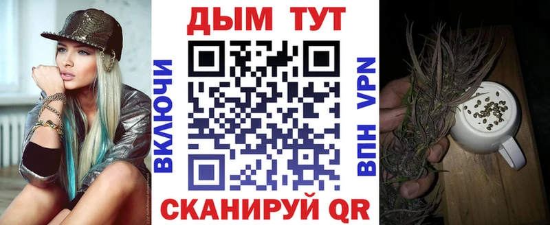 Конопля Amnesia  Купить закладки  Обь 